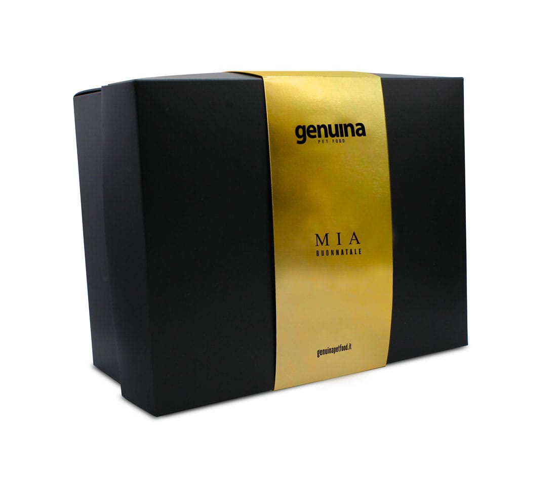 cofanetto-personalizzato-oro-BUON-NATALE-nome-cane cofanetto-personalizzato-oro-BUON-NATALE-nome-cane